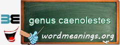 WordMeaning blackboard for genus caenolestes